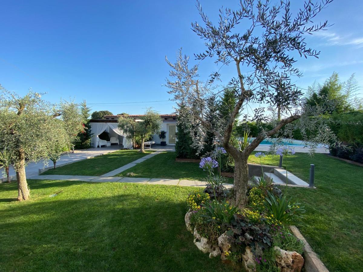 Mincio Relais Bed & Breakfast Castelnuovo del Garda Dış mekan fotoğraf